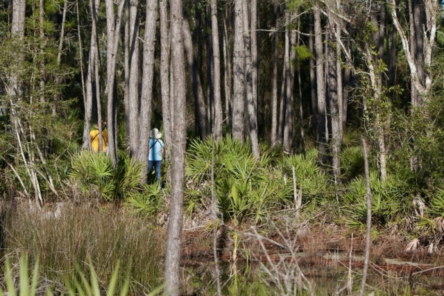 Hiking at Betz-Tiger Point Preserve in the 7 Creeks Recreation Area