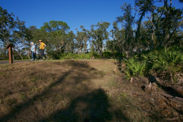Betz-Tiger Point