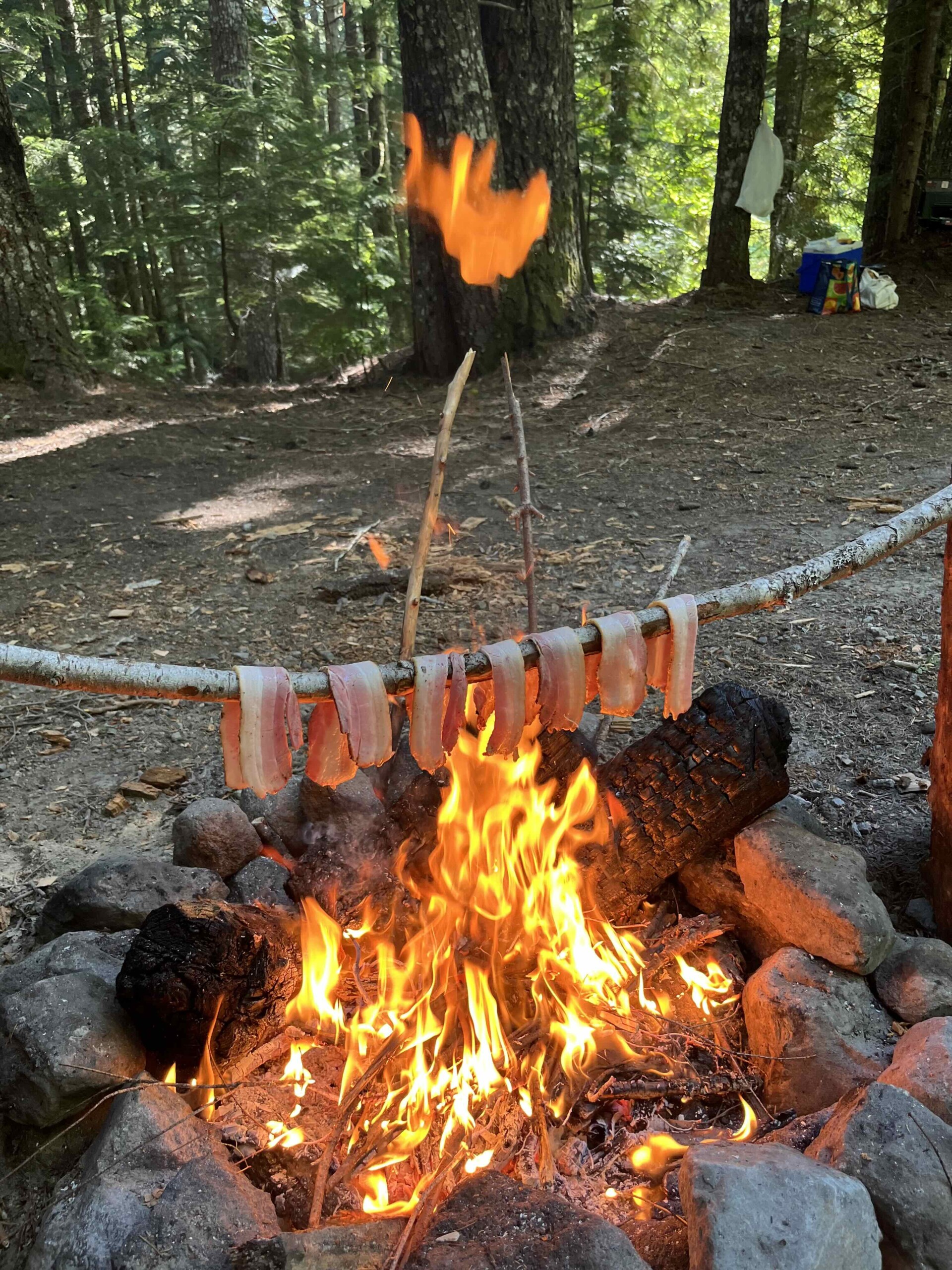 Camp fire with bacon slices hanging from a twig
