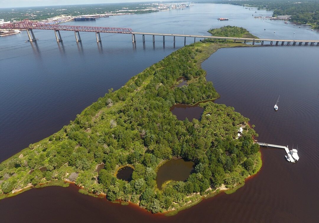 Small island in the St Johns River under the Matthews Bridge